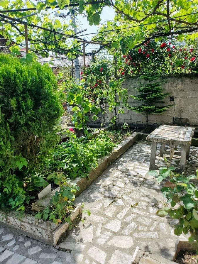 Lake Ohrid Guesthouse "Villa Valentina" Pogradec Exteriér fotografie
